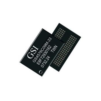 GS4576C09GM-24I