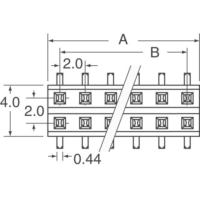 55508-006